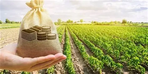 Khamari Global promo